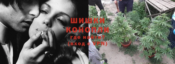 молекула духа Волосово